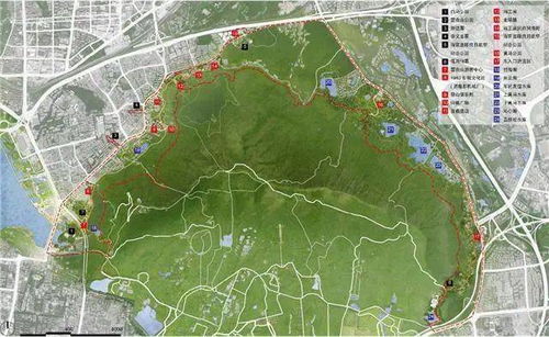 2021年南京規劃來了 過江通道 新建景區還有一大批學校...