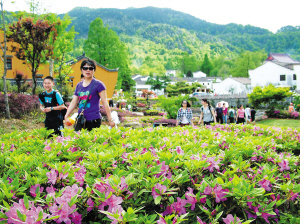 火紅的九華山五月旅游市場-九華山-中安在線-旅游