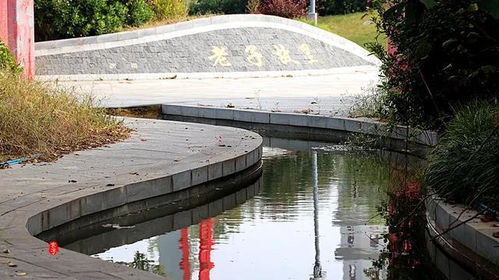 游覽過(guò)周口這座公園,其所轄各市縣區(qū)的景點(diǎn)就不必去了 中