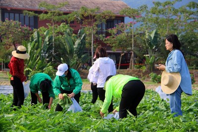 水稻國(guó)家公園旅游標(biāo)準(zhǔn)化專(zhuān)項(xiàng)工作簡(jiǎn)報(bào)第一期