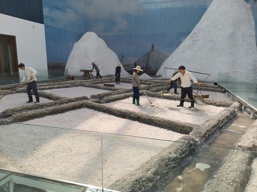 好客山東 百團(tuán)山東行——濱州無(wú)棣站活動(dòng)啟動(dòng)，園區(qū)管理服務(wù)協(xié)同助力