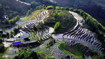 紫鵲界盛裝啟航，9月8日正式向游客開(kāi)放，園區(qū)管理服務(wù)全面升級(jí)