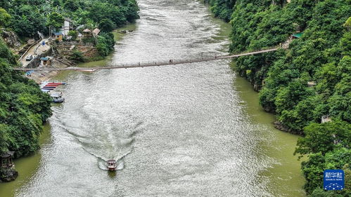 秋日峽谷景致怡人，園區(qū)管理服務(wù)提升游覽體驗