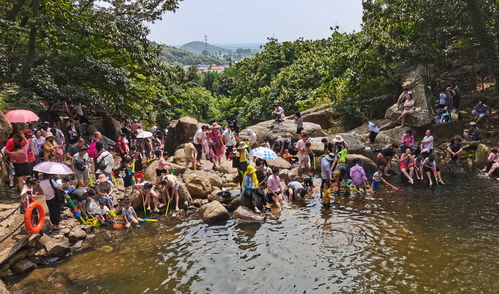 連云港市云臺山風景名勝區 精細化園區管理服務，繪就山海文旅新畫卷